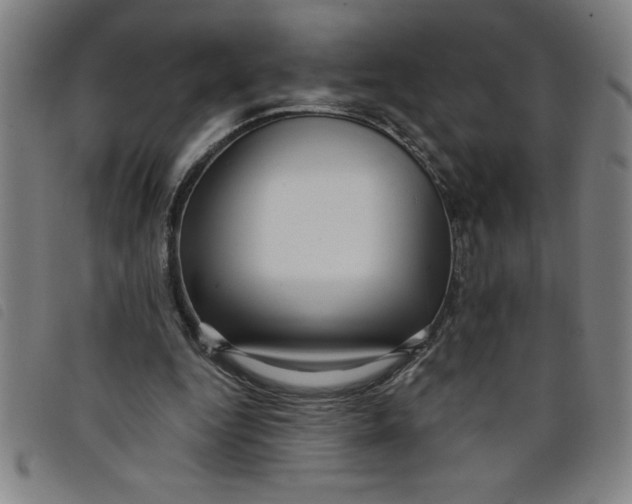 X0000097870344200804041556