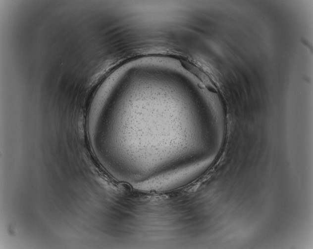 X0000097870345200804041556