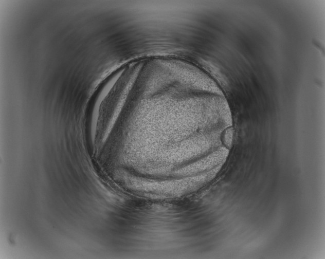 X0000097870346200804041556