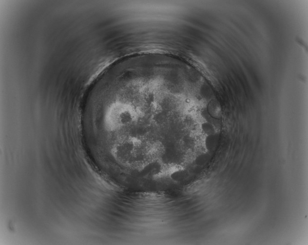 X0000097870347200804041556