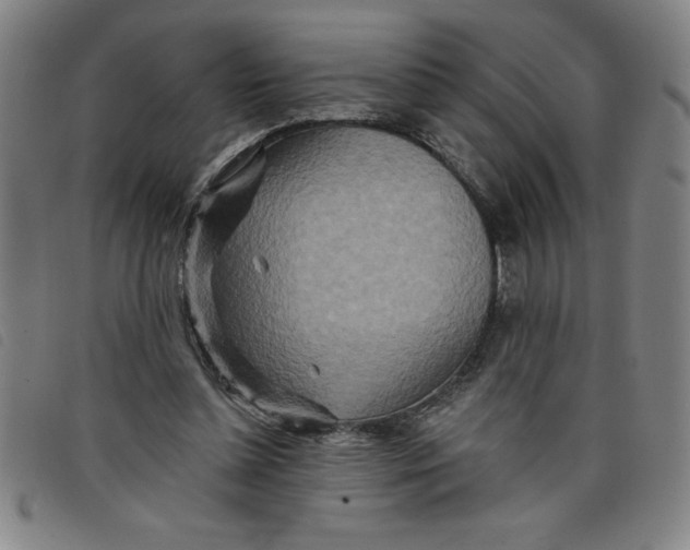 X0000097870348200804041556