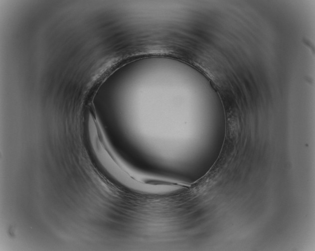 X0000097870350200804041556