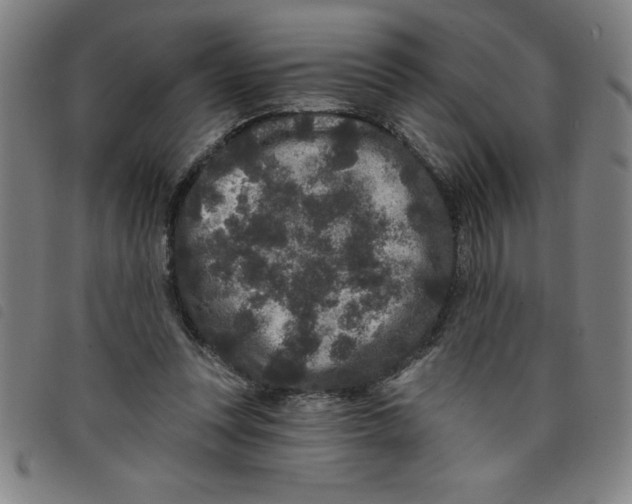 X0000097870351200804041556