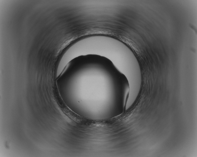 X0000097870352200804041556