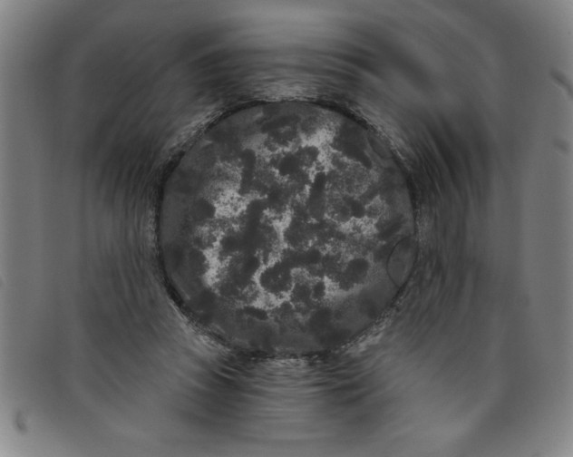 X0000097870353200804041556