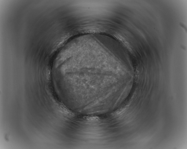 X0000097870355200804041556