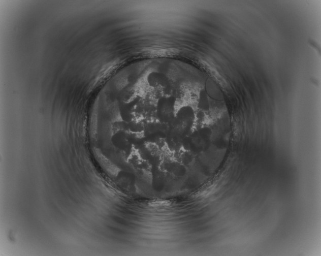 X0000097870357200804041556