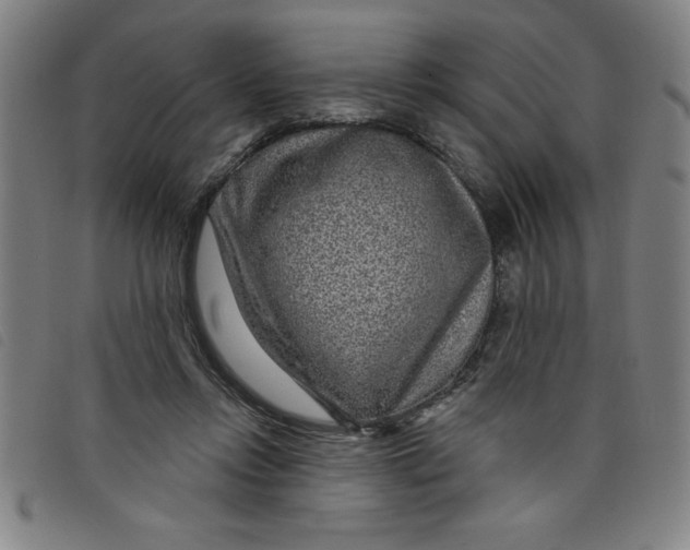 X0000097870358200804041556