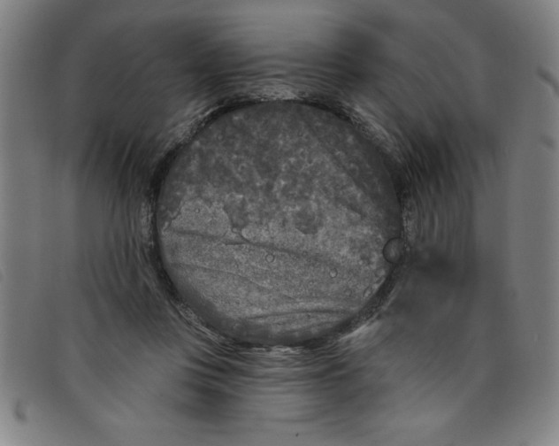 X0000097870359200804041556