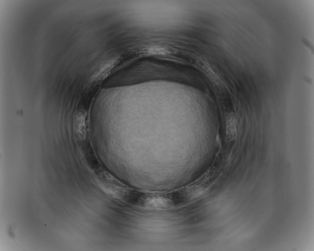 X0000097870360200804041556