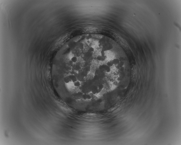 X0000097870361200804041556
