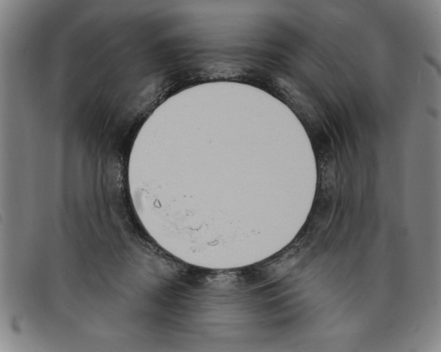 X0000097870362200804041556