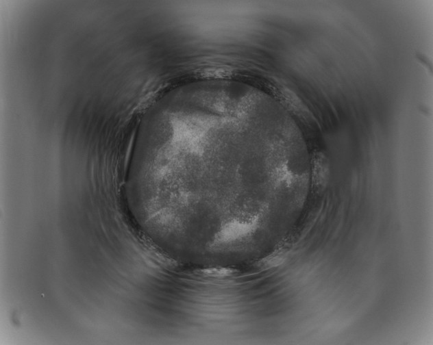 X0000097870363200804041556