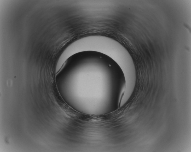 X0000097870364200804041556