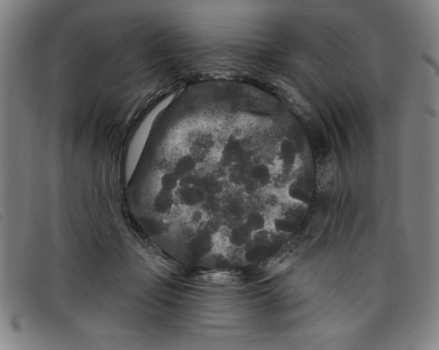 X0000097870365200804041556