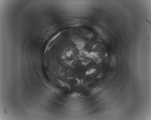 X0000097870366200804041556