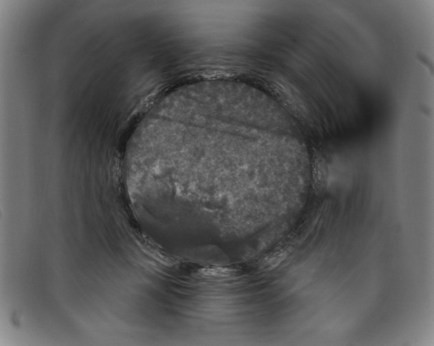 X0000097870367200804041556