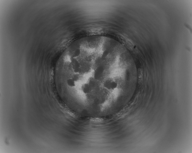 X0000097870369200804041556