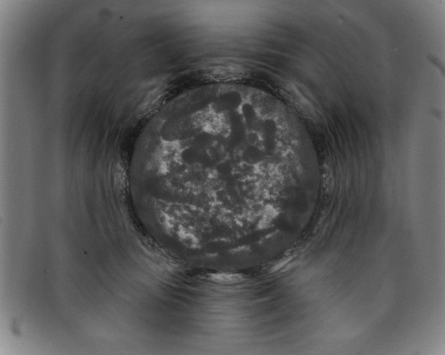 X0000097870371200804041556