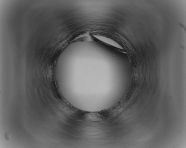 X0000097870372200804041556