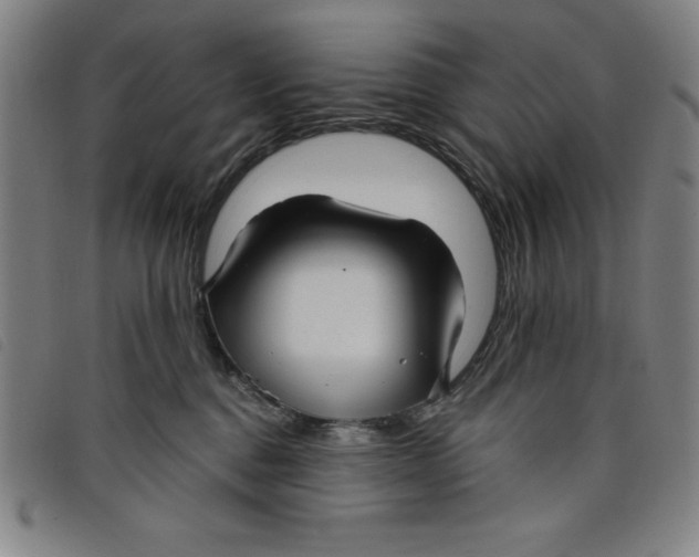 X0000097870376200804041556