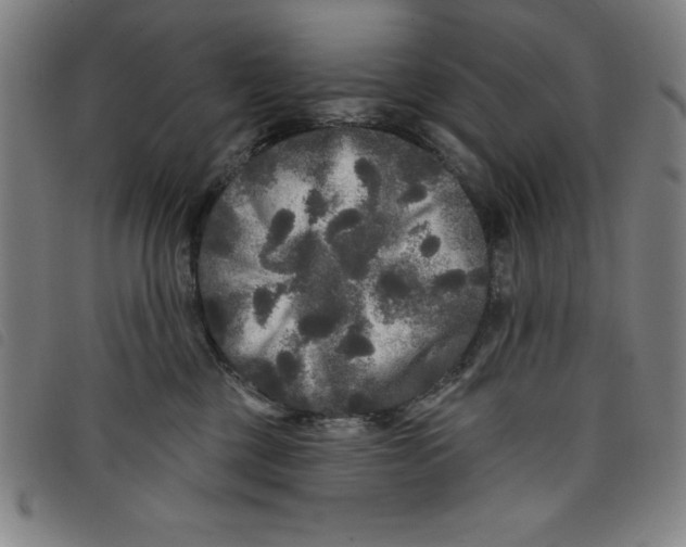 X0000097870377200804041556
