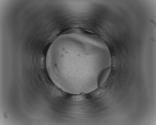 X0000097870378200804041556