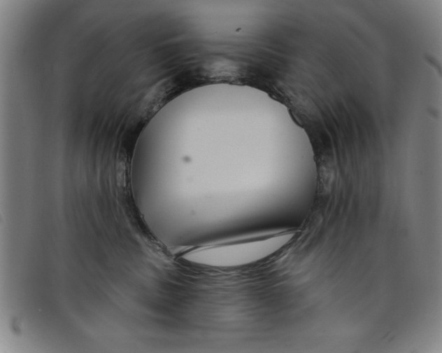 X0000097870379200804041556