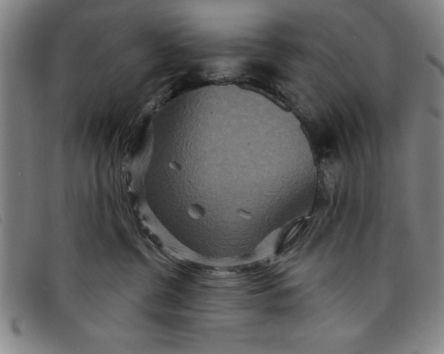 X0000097870380200804041556