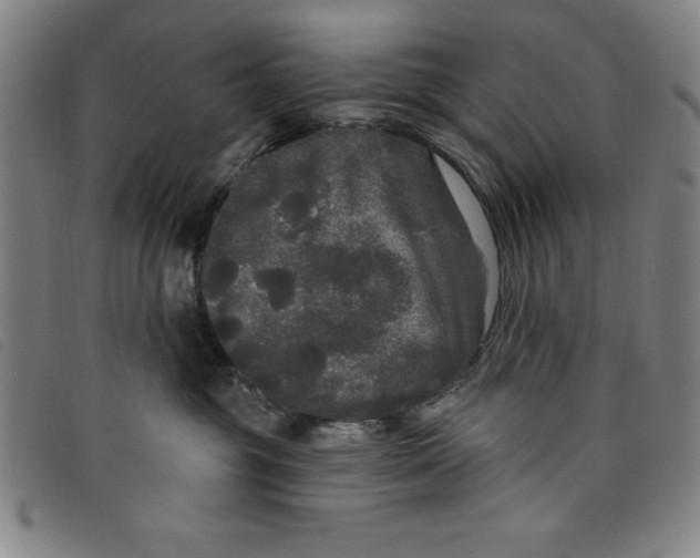 X0000097870381200804041556