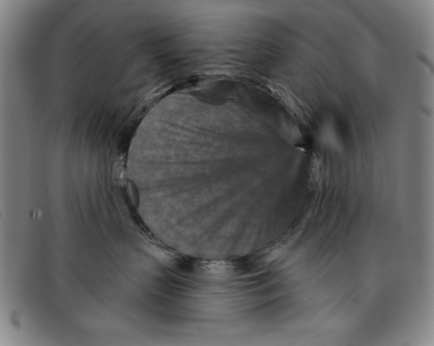 X0000097870383200804041556