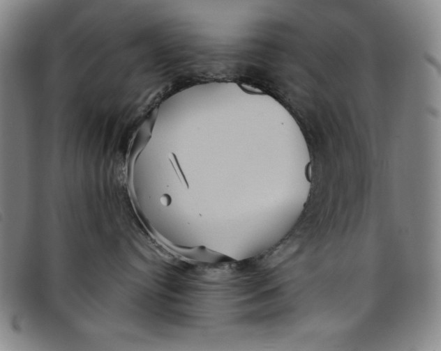 X0000097870384200804041556
