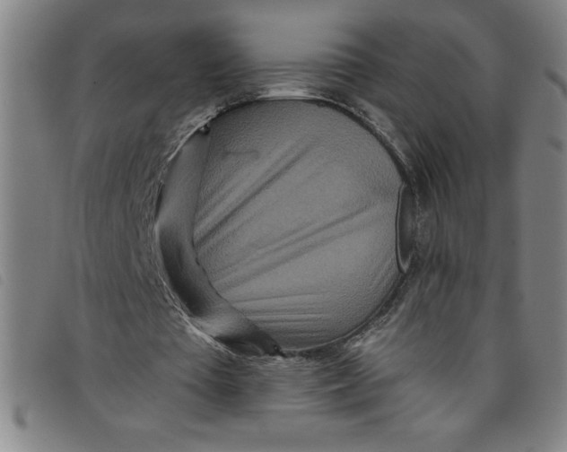 X0000097870385200804041555