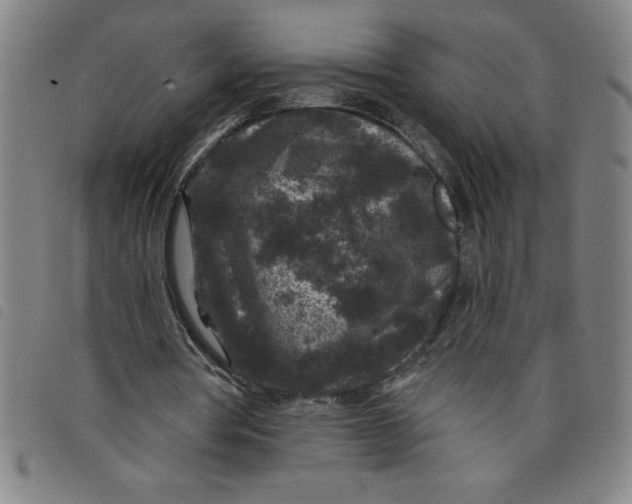 X0000097870386200804041555
