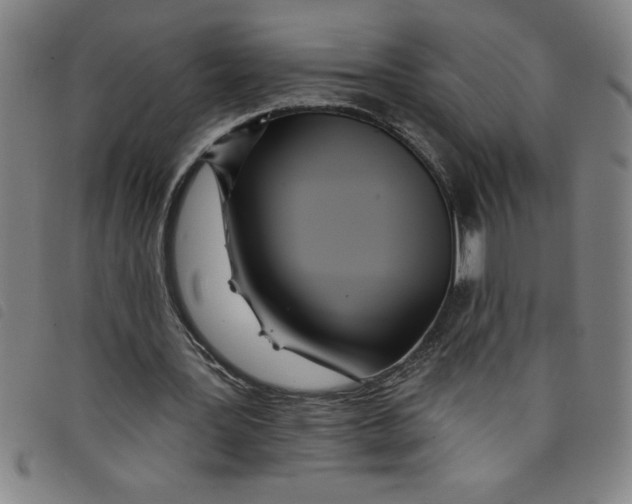 X0000097870387200804041555