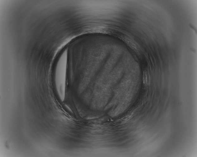 X0000097870388200804041555