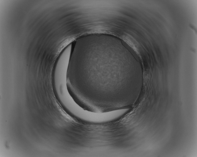 X0000097870389200804041555