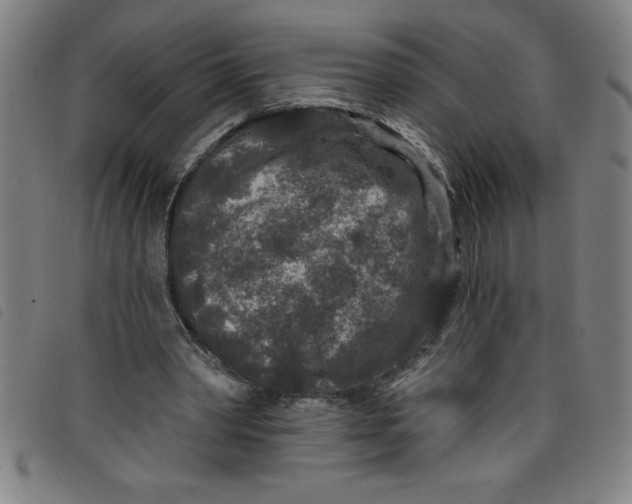 X0000097870390200804041555
