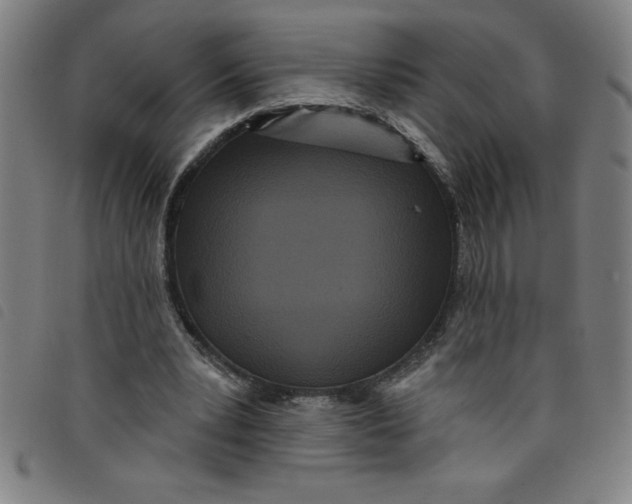 X0000097870391200804041555