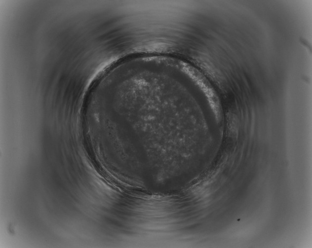 X0000097870392200804041555