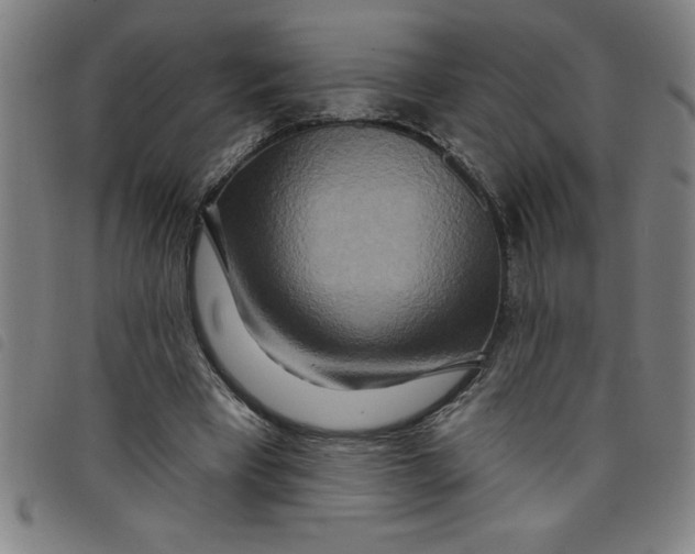 X0000097870393200804041555