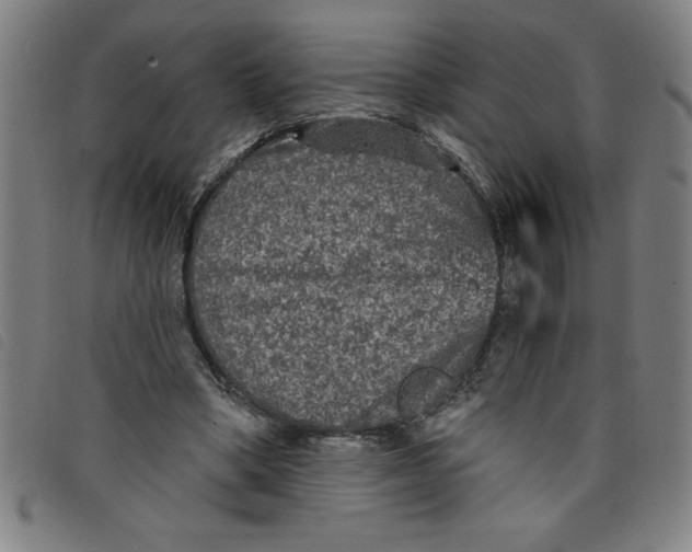 X0000097870394200804041555