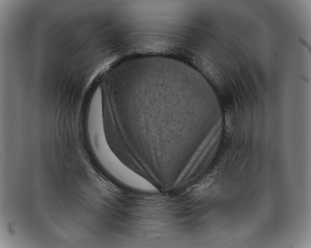 X0000097870396200804041555
