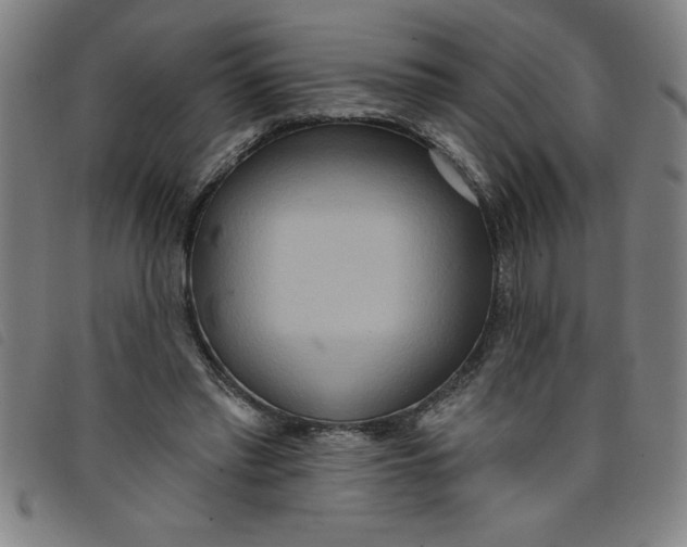 X0000097870397200804041555