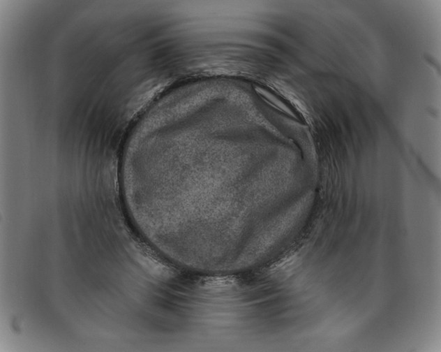 X0000097870398200804041555