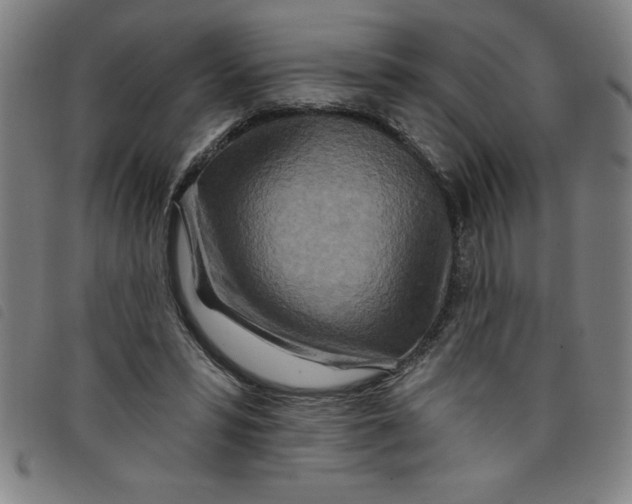 X0000097870399200804041555