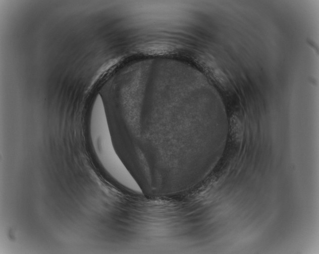 X0000097870400200804041555