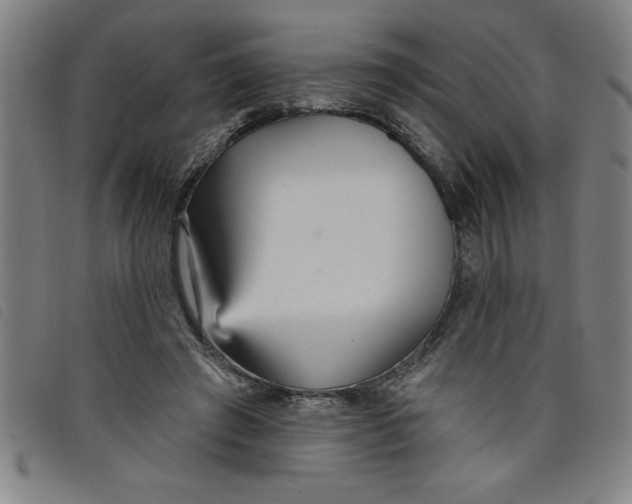 X0000097870401200804041555