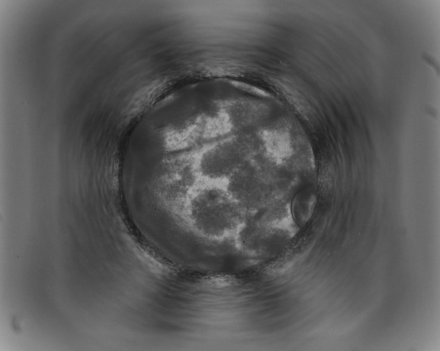 X0000097870402200804041555
