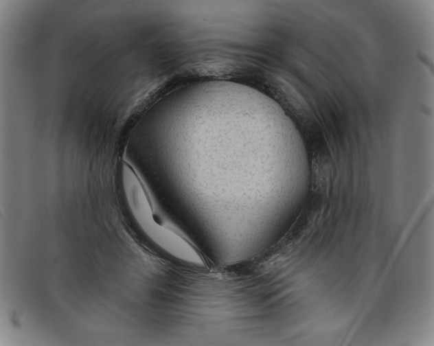 X0000097870404200804041555
